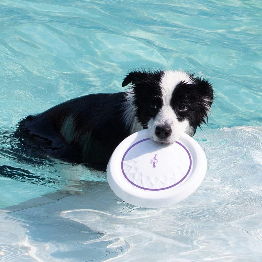 6952 Frizbi Köpek Oyuncağı (Uçuş Diski) Small 6952 Frizbi Köpek Oyuncağı (Uçuş Diski) Small