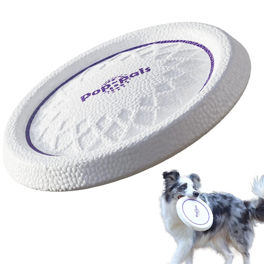 8571 Frizbi Köpek Oyuncağı (Uçuş Diski) Medium 8571 Frizbi Köpek Oyuncağı (Uçuş Diski) Medium