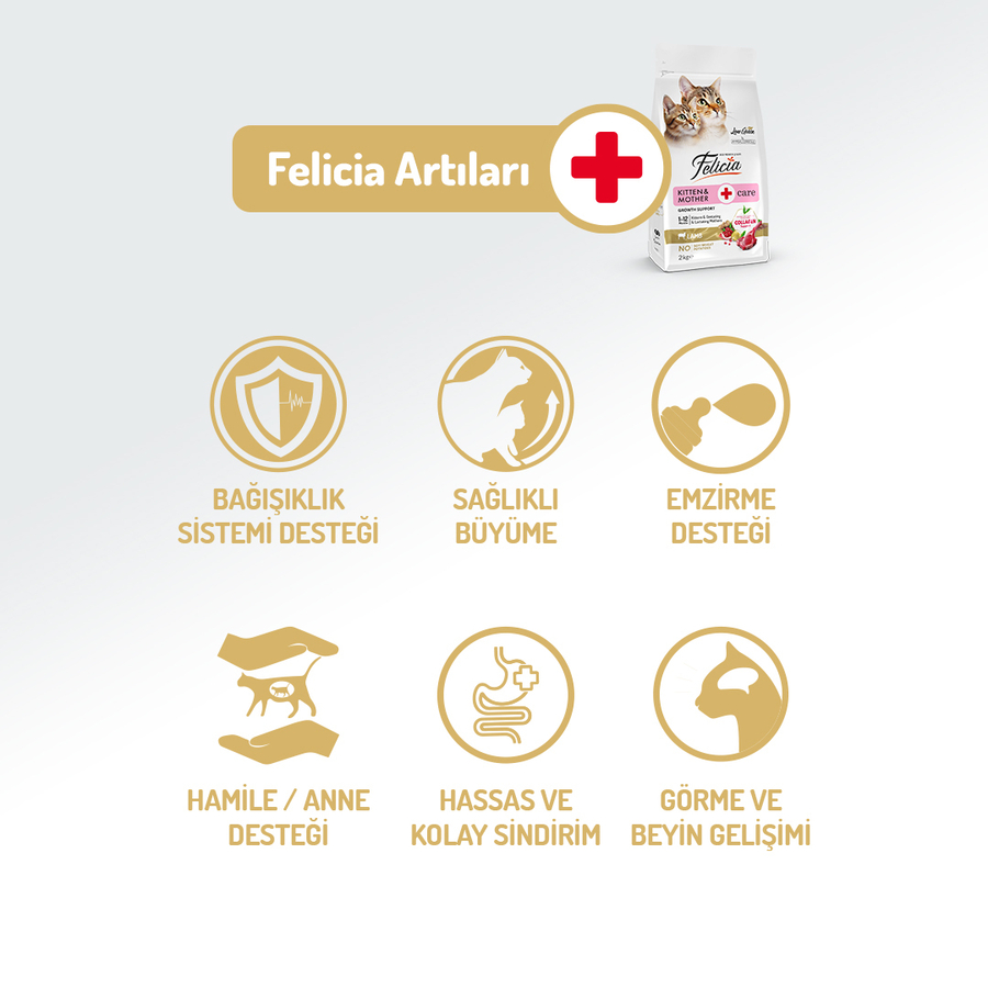Felicia 12 Kg Kolajenli Kuzulu Az Tahıllı Yavru Kedi Maması HypoAllergenic Kedi Maması Felicia 12 Kg Kolajenli Kuzulu Az Tahıllı Yavru Kedi Maması HypoAllergenic Kedi Maması