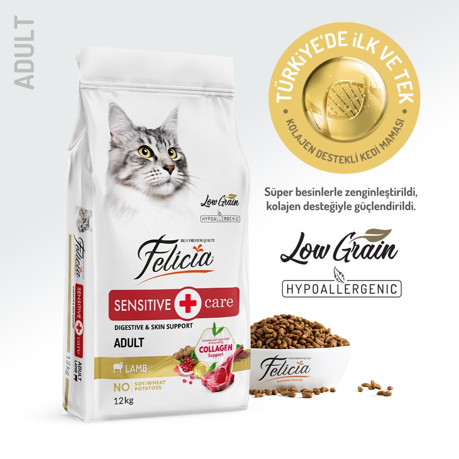 Felicia 12 Kg Kolajenli Kuzulu Az Tahıllı Yetişkin Kedi Maması HypoAllergenic Kedi Maması Felicia 12 Kg Kolajenli Kuzulu Az Tahıllı Yetişkin Kedi Maması HypoAllergenic Kedi Maması