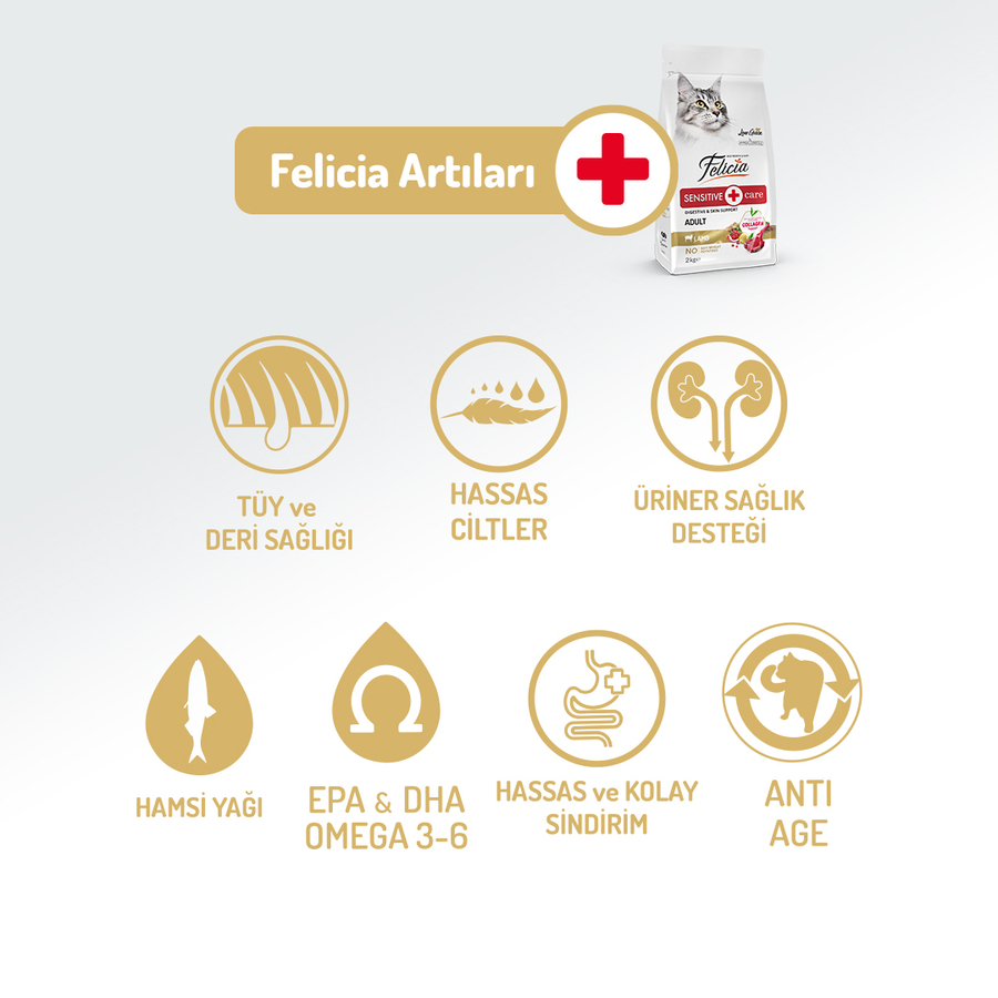 Felicia 12 Kg Kolajenli Kuzulu Az Tahıllı Yetişkin Kedi Maması HypoAllergenic Kedi Maması