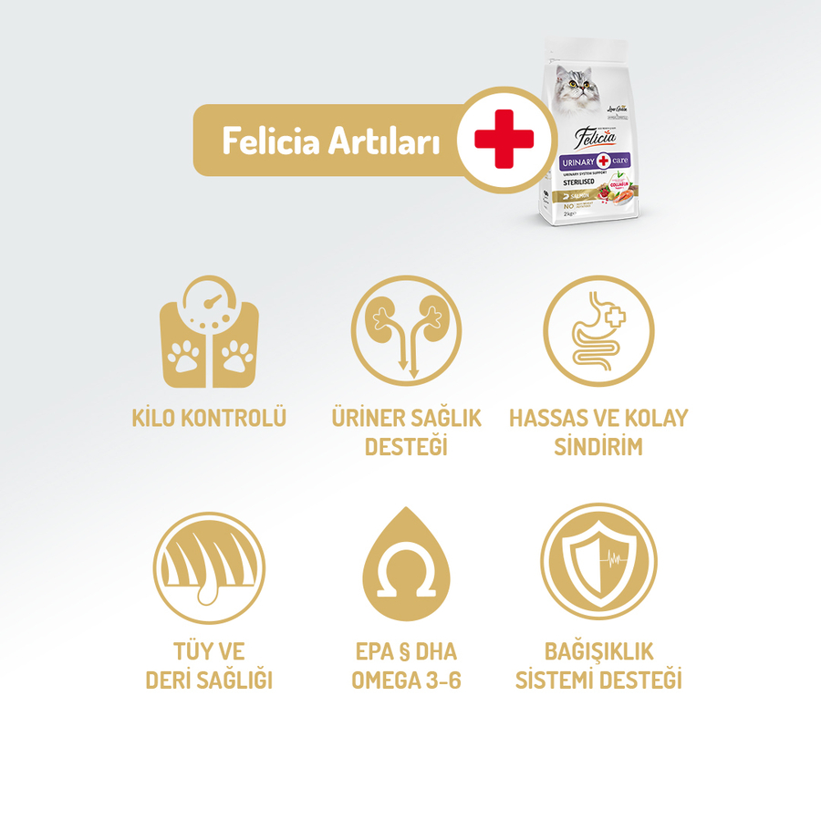 Felicia 12 Kg Kolajenli Somonlu Az Tahıllı Kısırlaştırılmış Kedi Maması HypoAllergenic Kedi Maması Felicia 12 Kg Kolajenli Somonlu Az Tahıllı Kısırlaştırılmış Kedi Maması HypoAllergenic Kedi Maması