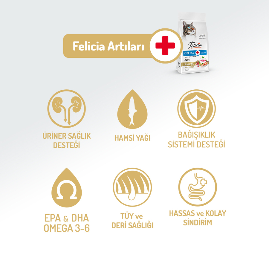 Felicia 12 Kg Kolajenli Somonlu Az Tahıllı Yetişkin Kedi Maması HypoAllergenic Kedi Maması