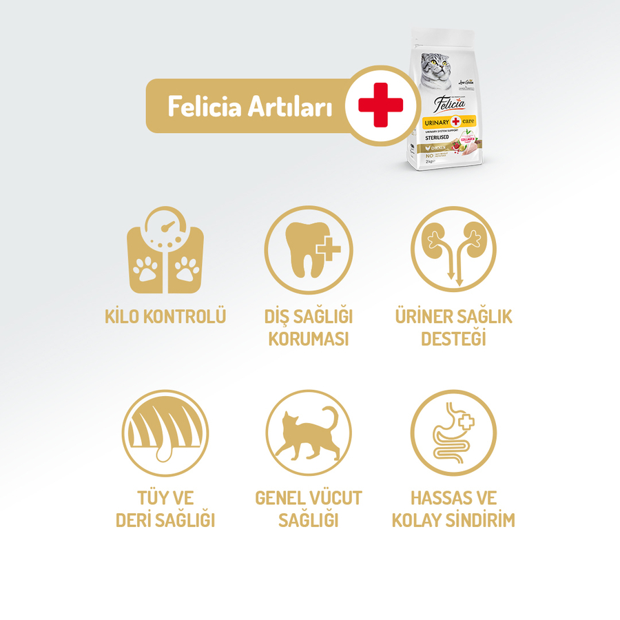 Felicia 12 Kg Kolajenli Tavuklu Az Tahıllı Kısırlaştırılmış Kedi Maması HypoAllergenic Kedi Maması