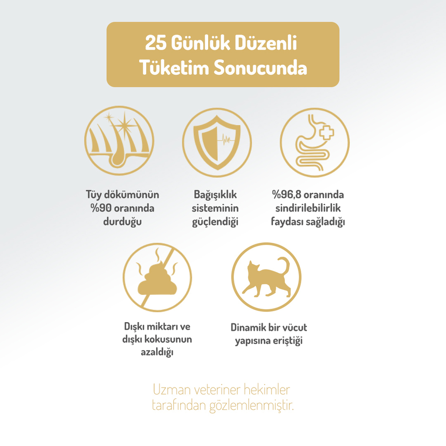 Felicia 12 Kg Kolajenli Tavuklu Az Tahıllı Kısırlaştırılmış Kedi Maması HypoAllergenic Kedi Maması