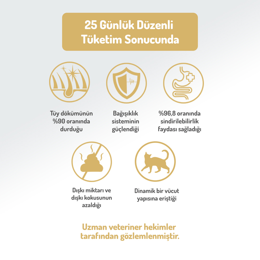 Felicia 12 Kg Kolajenli Tavuklu Az Tahıllı Yavru Kedi Maması HypoAllergenic Kedi Maması