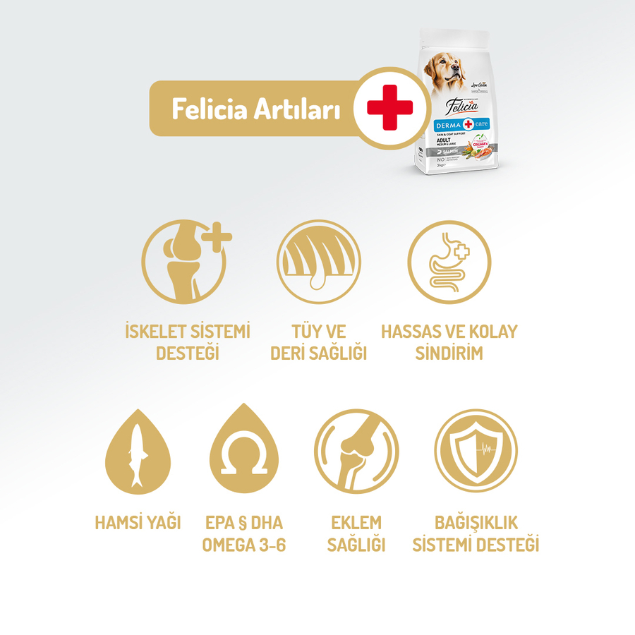 Felicia 15 Kg Kolajenli Somonlu Az Tahıllı M/Large Yetişkin Köpek Maması Breed HypoAllergenic Köpek Maması Felicia 15 Kg Kolajenli Somonlu Az Tahıllı M/Large Yetişkin Köpek Maması Breed HypoAllergenic Köpek Maması