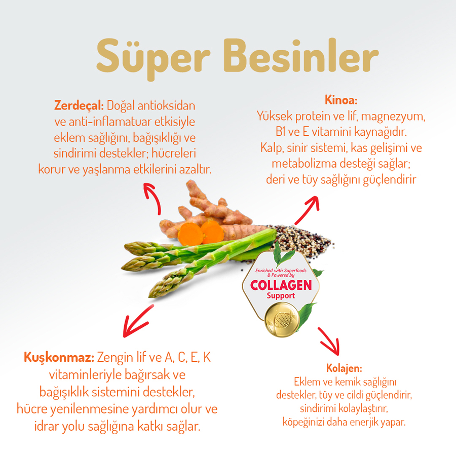 Felicia 15 Kg Kolajenli Somonlu Az Tahıllı M/Large Yetişkin Köpek Maması Breed HypoAllergenic Köpek Maması Felicia 15 Kg Kolajenli Somonlu Az Tahıllı M/Large Yetişkin Köpek Maması Breed HypoAllergenic Köpek Maması