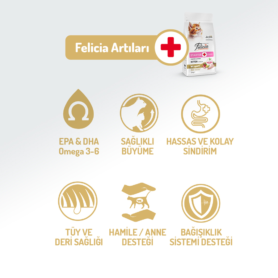 Felicia 2 Kg Kolajenli Tavuklu Az Tahıllı Yavru Kedi Maması HypoAllergenic Kedi Maması Felicia 2 Kg Kolajenli Tavuklu Az Tahıllı Yavru Kedi Maması HypoAllergenic Kedi Maması