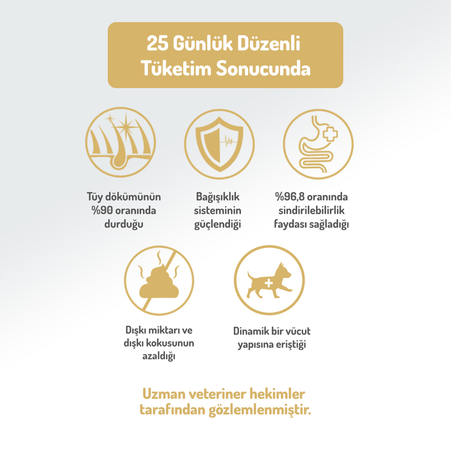Felicia 3 Kg Kolajenli Kuzulu Az Tahıllı Flexi Size Yavru Köpek Maması HypoAllergenic Köpek Maması