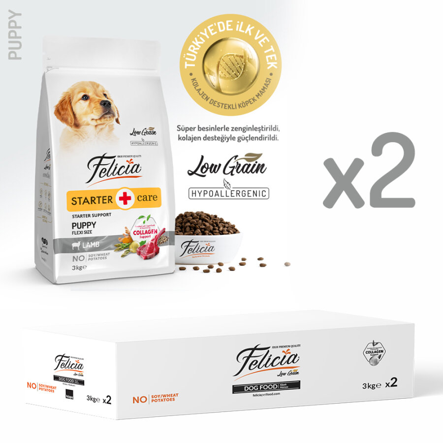Felicia 6 Kg (2x3 Kg) Kolajenli Kuzulu Az Tahıllı Flexi Size Yavru Köpek Maması  HypoAllergenic Köpek Maması Felicia 6 Kg (2x3 Kg) Kolajenli Kuzulu Az Tahıllı Flexi Size Yavru Köpek Maması  HypoAllergenic Köpek Maması