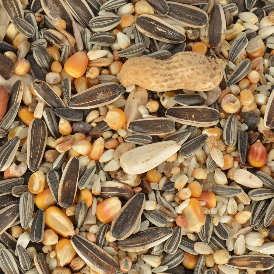 GWC Papağan Yemi 500 gr 6'lı GWC Papağan Yemi 500 gr 6'lı