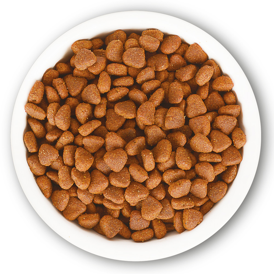 Jungle 15 kg Yetiş.Kedi Mama.Tavuk-Balıklı.