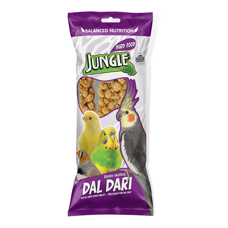 Jungle Doğal Dal Darı 10 Adet