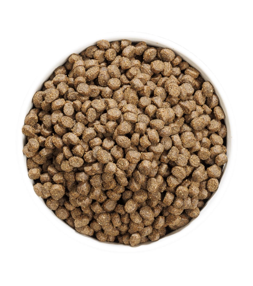 Ownat 1 kg Sterilised Somonlu Kedi Maması