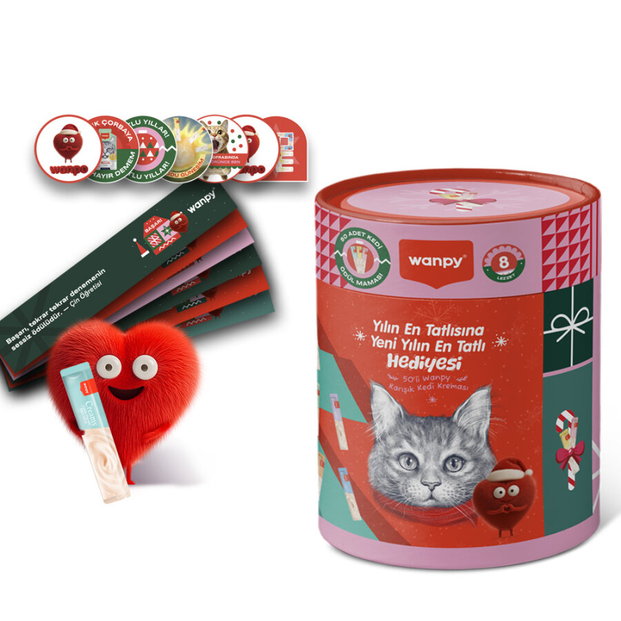 Wanpy 50'li Krema Yılbaşı Paketi_6'lı Koli