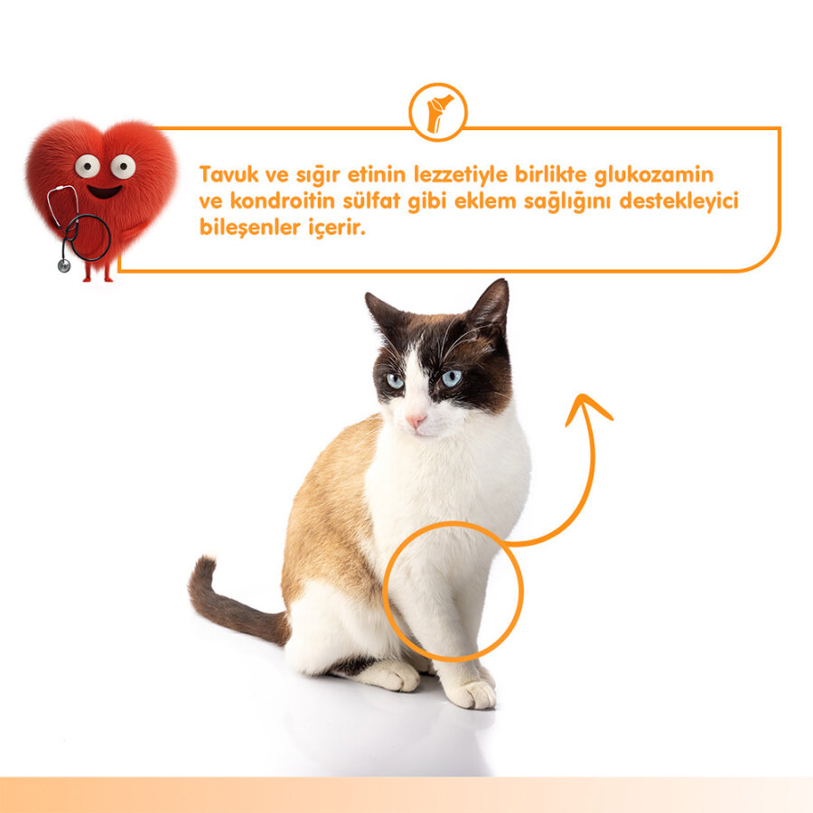 Wanpy Bone Support Sığır Eti&Tavuk 12'li-F.Krema Ödül 5x14gr Wanpy Bone Support Sığır Eti&Tavuk 12'li-F.Krema Ödül 5x14gr