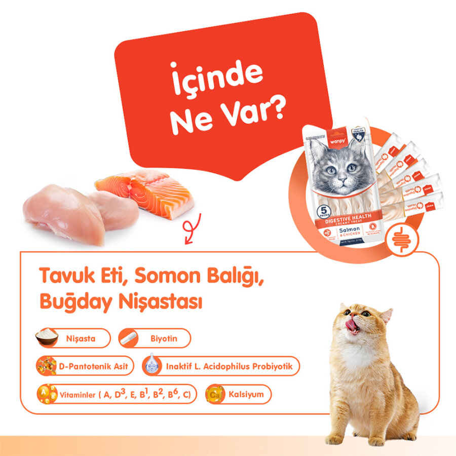 Wanpy Digestive Health Somon Balığı&Tavuk 12'li-F.Krema Ödül 5x14gr Wanpy Digestive Health Somon Balığı&Tavuk 12'li-F.Krema Ödül 5x14gr