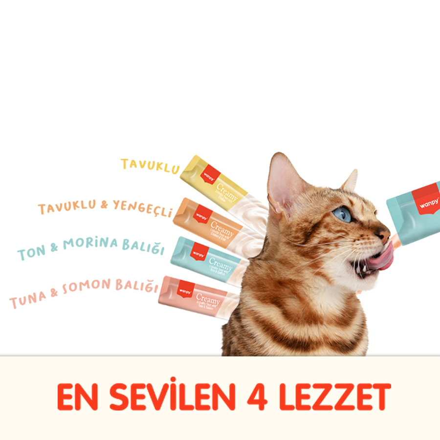 Wanpy Karışık 4 Lezzet 100'lü Krema Kedi Ödülü 100*14 gr Wanpy Karışık 4 Lezzet 100'lü Krema Kedi Ödülü 100*14 gr