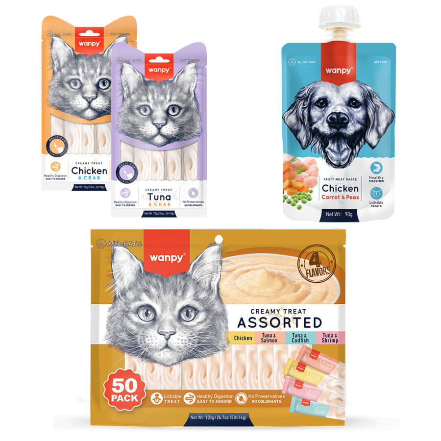 Wanpy Seti _ Kasım Wanpy Seti _ Kasım