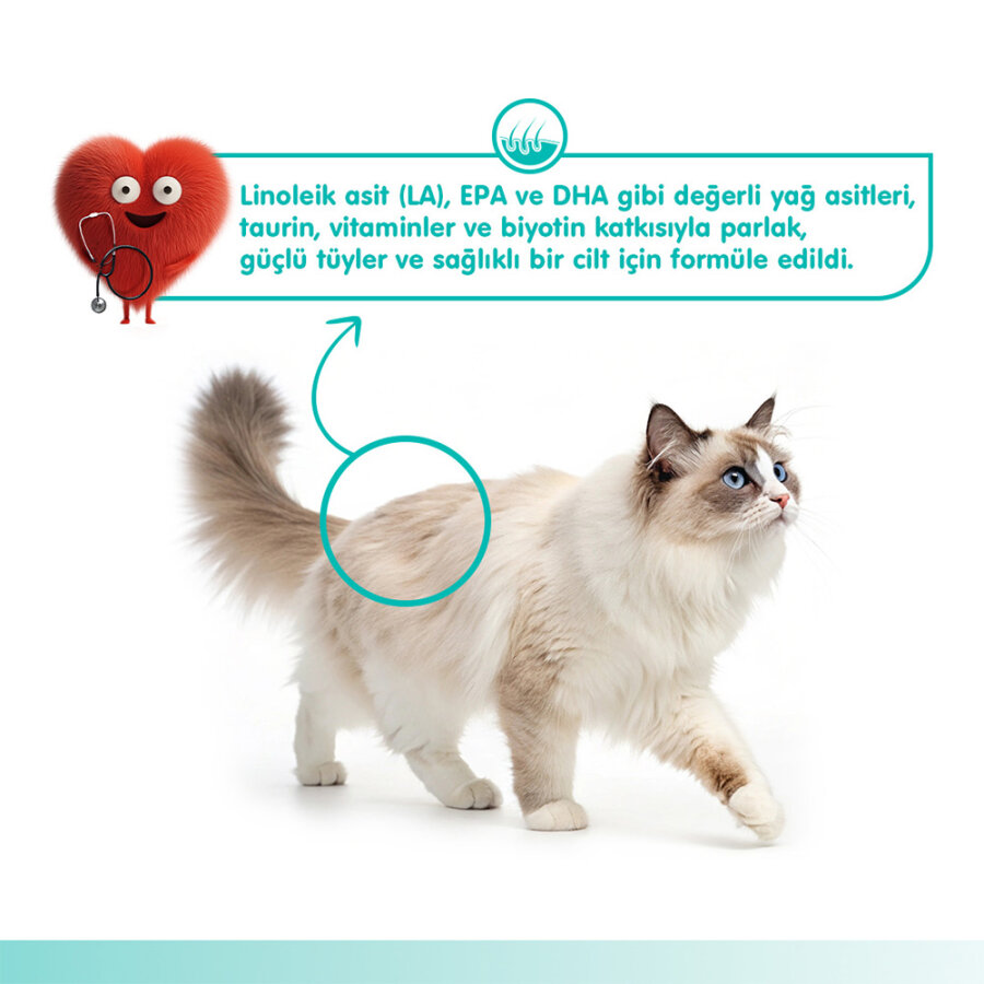 Wanpy Skin&Coat Ton Balığı&Somon 12'li-F.Krema Ödül 5x14gr Wanpy Skin&Coat Ton Balığı&Somon 12'li-F.Krema Ödül 5x14gr