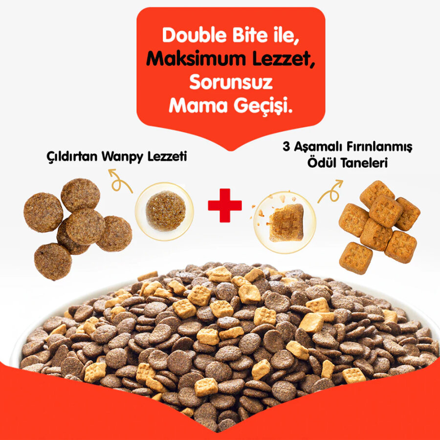 Wanpy Tahılsız Somon&Tuna Kısırlaştırılmış Kedi Maması 1,5 kg