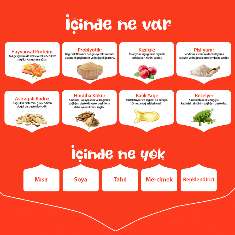 Wanpy Tahılsız Somonlu Yetişkin Kedi Maması 1,5 kg