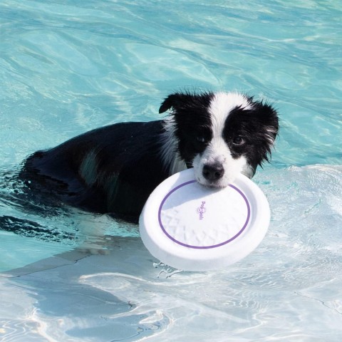 6952 Frizbi Köpek Oyuncağı (Uçuş Diski) Small 6952 Frizbi Köpek Oyuncağı (Uçuş Diski) Small