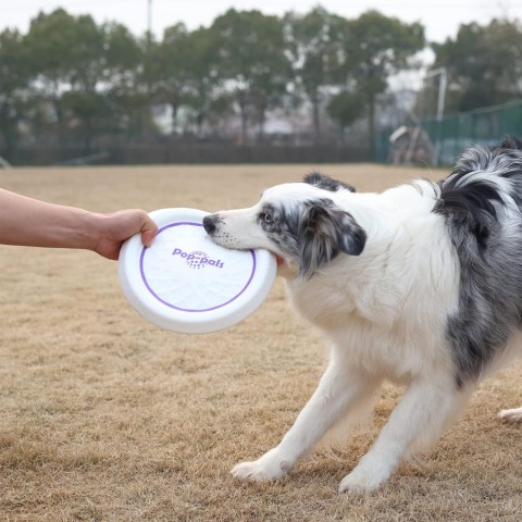 8571 Frizbi Köpek Oyuncağı (Uçuş Diski) Medium 8571 Frizbi Köpek Oyuncağı (Uçuş Diski) Medium