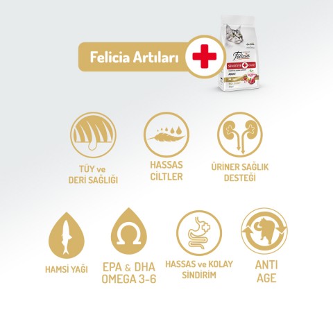 Felicia 12 Kg Kolajenli Kuzulu Az Tahıllı Yetişkin Kedi Maması HypoAllergenic Kedi Maması