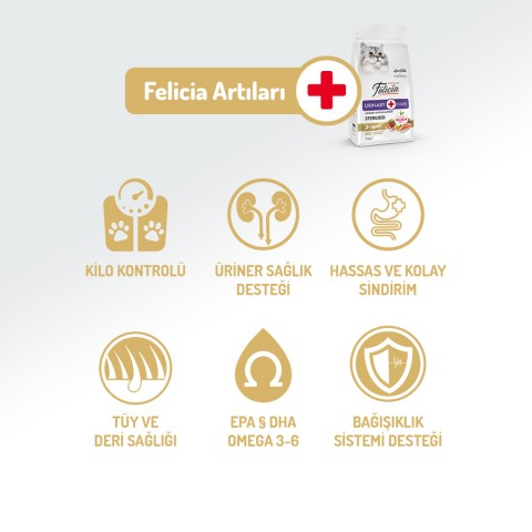 Felicia 12 Kg Kolajenli Somonlu Az Tahıllı Kısırlaştırılmış Kedi Maması  HypoAllergenic Kedi Maması