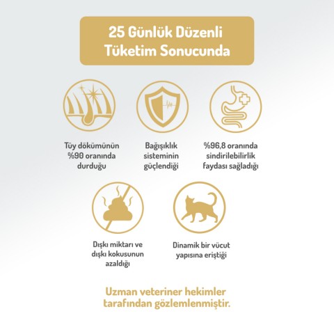 Felicia 12 Kg Kolajenli Somonlu Az Tahıllı Yetişkin Kedi Maması HypoAllergenic Kedi Maması