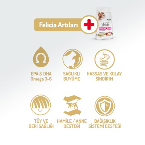 Felicia 12 Kg Kolajenli Tavuklu Az Tahıllı Yavru Kedi Maması HypoAllergenic Kedi Maması