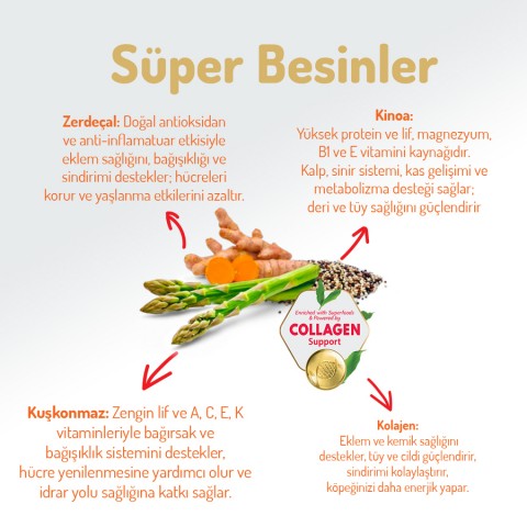 Felicia 15 Kg Kolajenli Somonlu Az Tahıllı M/Large Yetişkin Köpek Maması Breed HypoAllergenic Köpek Maması