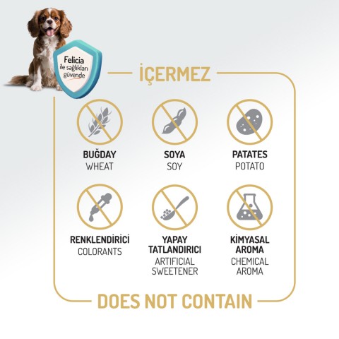 Felicia 3 Kg Kolajenli Kuzulu Az Tahıllı Flexi Size Yavru Köpek Maması HypoAllergenic Köpek Maması