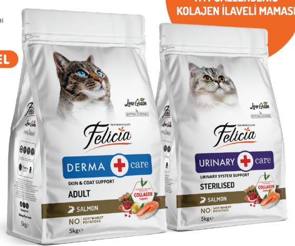 Felicia 5 Kg Kolajenli Somonlu Az Tahıllı Yetişkin Kedi Maması HypoAllergenic Kedi Maması