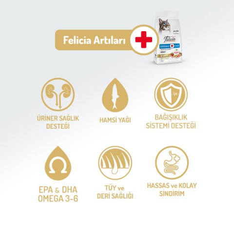 Felicia 5 Kg Kolajenli Somonlu Az Tahıllı Yetişkin Kedi Maması HypoAllergenic Kedi Maması