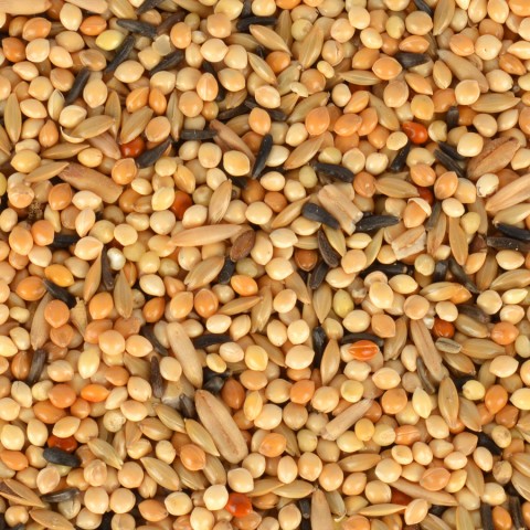 GWC Yavru Yemi 400 gr 6'lı GWC Yavru Yemi 400 gr 6'lı