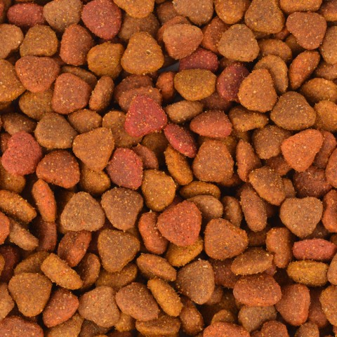 Jungle 15 kg Colormix Tavuklu Kedi Maması.