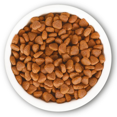 Jungle 15 kg Yetiş.Kedi Mama.Tavuk-Balıklı.