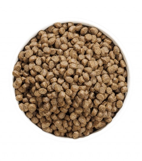 Ownat 1 kg Sterilised Somonlu Kedi Maması