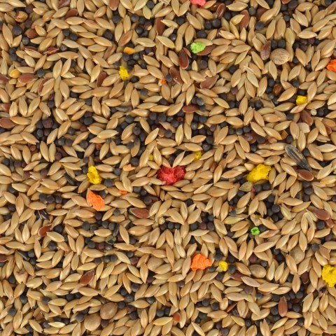 Quik Kanarya Yemi 500 gr 8'li Quik Kanarya Yemi 500 gr 8'li