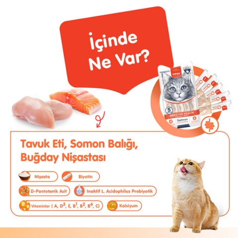 Wanpy Digestive Health Somon Balığı&Tavuk 12'li-F.Krema Ödül 5x14gr