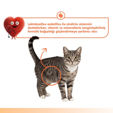 Wanpy Digestive Health Somon Balığı&Tavuk 12'li-F.Krema Ödül 5x14gr